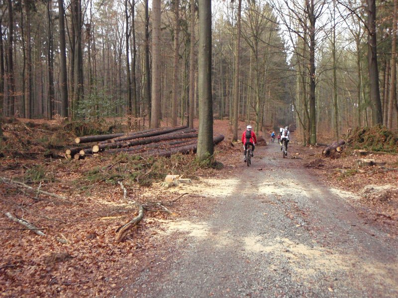 Waldtour 063